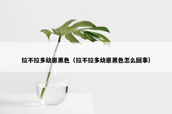 拉不拉多幼崽黑色（拉不拉多幼崽黑色怎么回事）