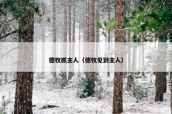 德牧抓主人（德牧见到主人）
