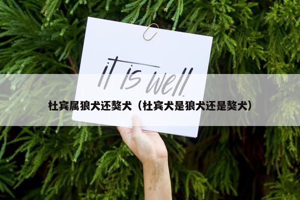 杜宾属狼犬还獒犬（杜宾犬是狼犬还是獒犬）