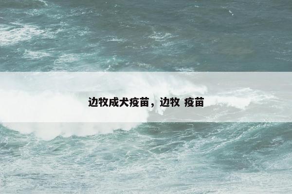 边牧成犬疫苗，边牧 疫苗