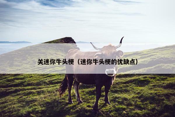 关迷你牛头梗（迷你牛头梗的优缺点）