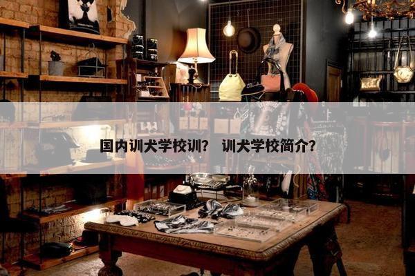 国内训犬学校训？ 训犬学校简介？