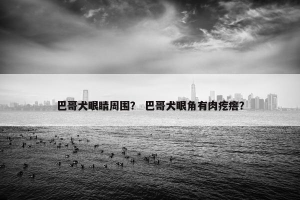 巴哥犬眼睛周围？ 巴哥犬眼角有肉疙瘩？