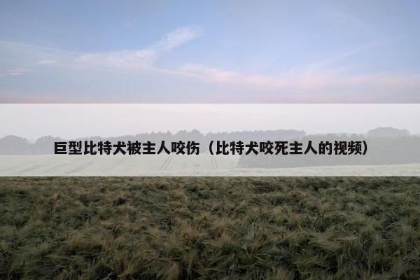 巨型比特犬被主人咬伤（比特犬咬死主人的视频）