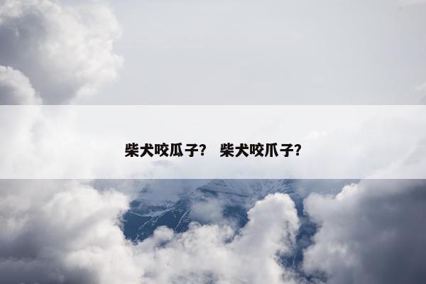 柴犬咬瓜子？ 柴犬咬爪子？