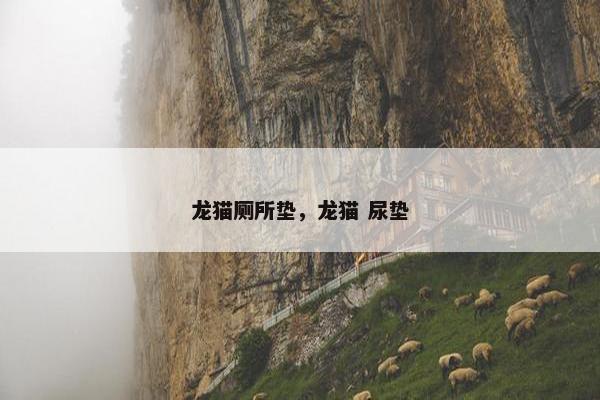 龙猫厕所垫，龙猫 尿垫