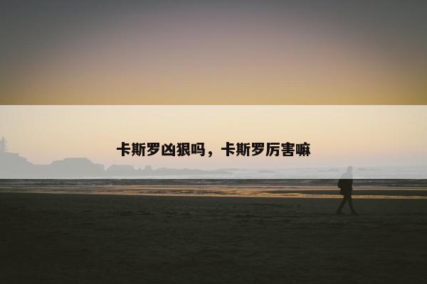 卡斯罗凶狠吗，卡斯罗厉害嘛