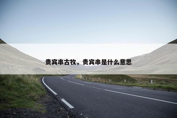 贵宾串古牧，贵宾串是什么意思