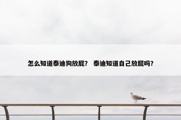 怎么知道泰迪狗放屁？ 泰迪知道自己放屁吗？