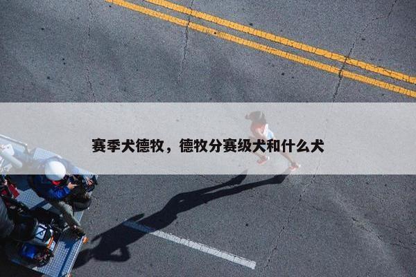 赛季犬德牧，德牧分赛级犬和什么犬