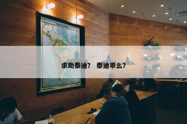 求助泰迪？ 泰迪乖么？