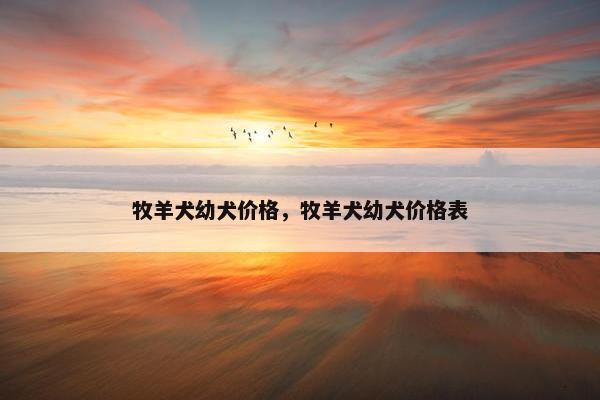 牧羊犬幼犬价格，牧羊犬幼犬价格表