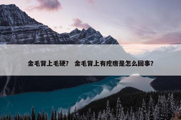 金毛背上毛硬？ 金毛背上有疙瘩是怎么回事？