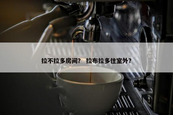 拉不拉多房间？ 拉布拉多住室外？
