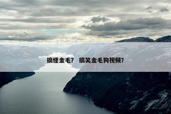 搞怪金毛？ 搞笑金毛狗视频？