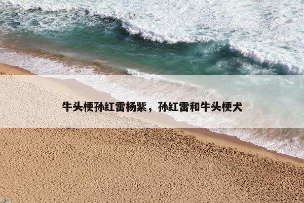 牛头梗孙红雷杨紫，孙红雷和牛头梗犬