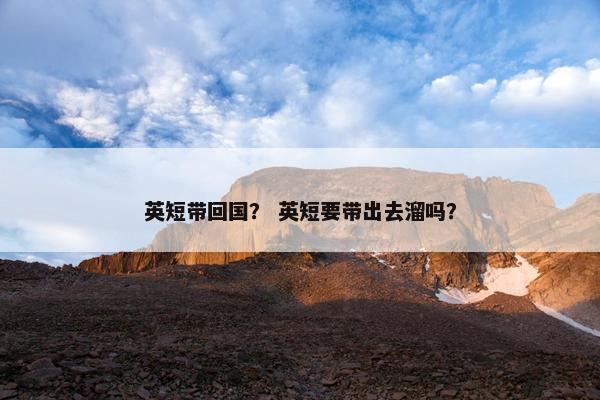 英短带回国？ 英短要带出去溜吗？