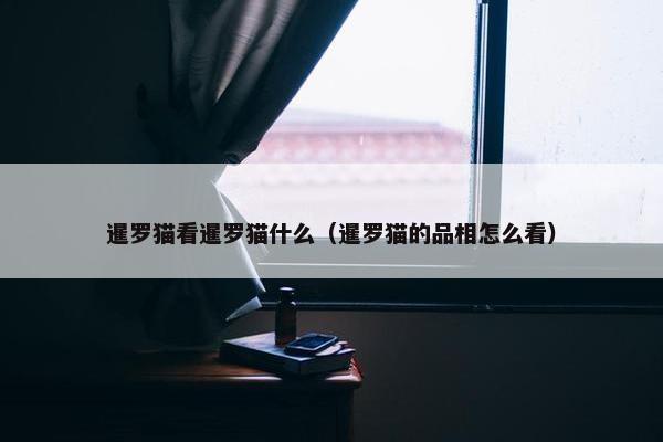 暹罗猫看暹罗猫什么（暹罗猫的品相怎么看）