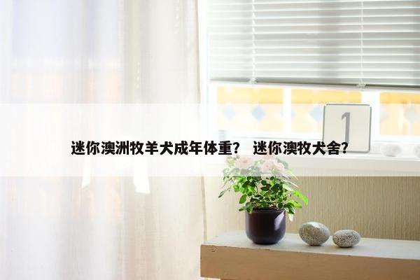 迷你澳洲牧羊犬成年体重？ 迷你澳牧犬舍？