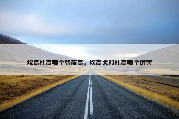坎高杜高哪个智商高，坎高犬和杜高哪个厉害