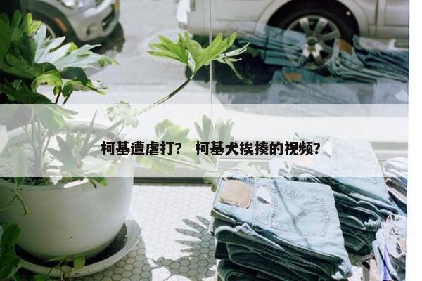 柯基遭虐打？ 柯基犬挨揍的视频？