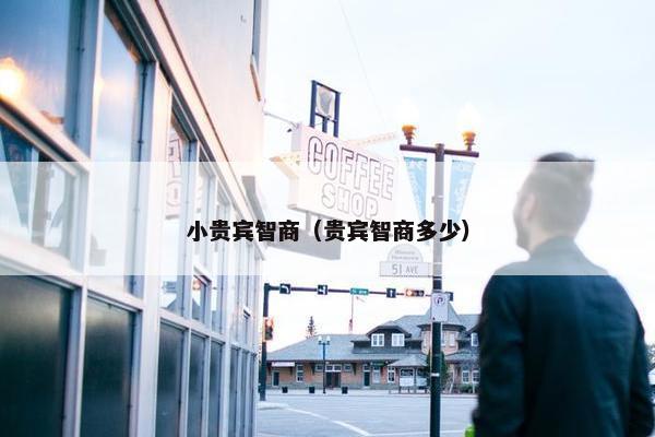 小贵宾智商（贵宾智商多少）