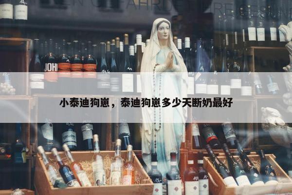小泰迪狗崽，泰迪狗崽多少天断奶最好
