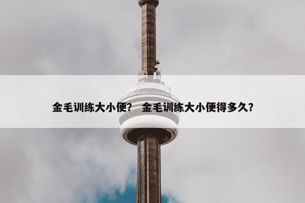 金毛训练大小便？ 金毛训练大小便得多久？