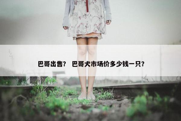 巴哥出售？ 巴哥犬市场价多少钱一只？