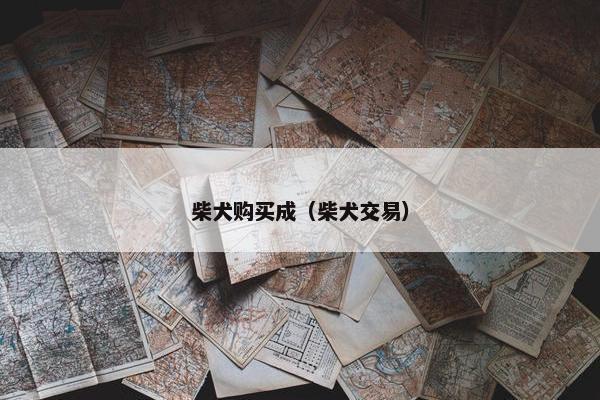柴犬购买成（柴犬交易）