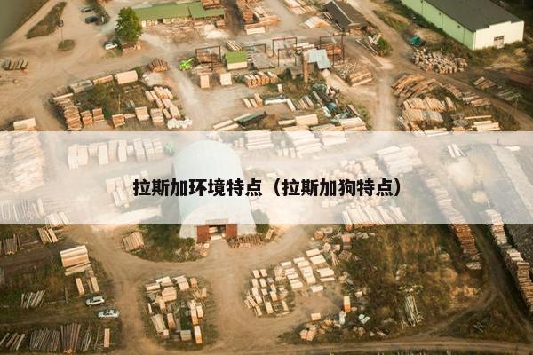 拉斯加环境特点（拉斯加狗特点）