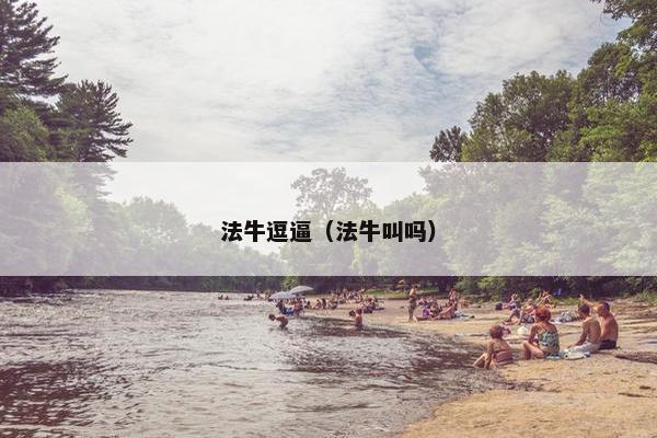 法牛逗逼（法牛叫吗）