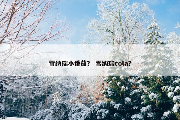 雪纳瑞小番茄？ 雪纳瑞cola？