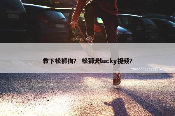 救下松狮狗？ 松狮犬lucky视频？