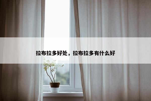 拉布拉多好处，拉布拉多有什么好