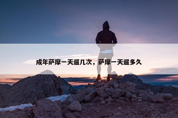 成年萨摩一天遛几次，萨摩一天遛多久