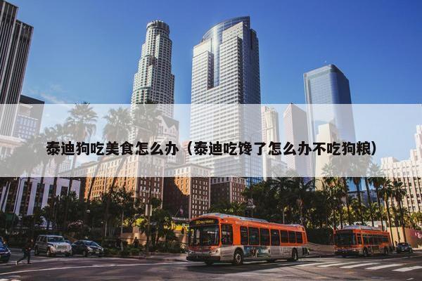 泰迪狗吃美食怎么办（泰迪吃馋了怎么办不吃狗粮）