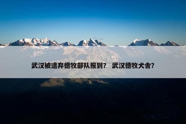 武汉被遗弃德牧部队报到？ 武汉德牧犬舍？