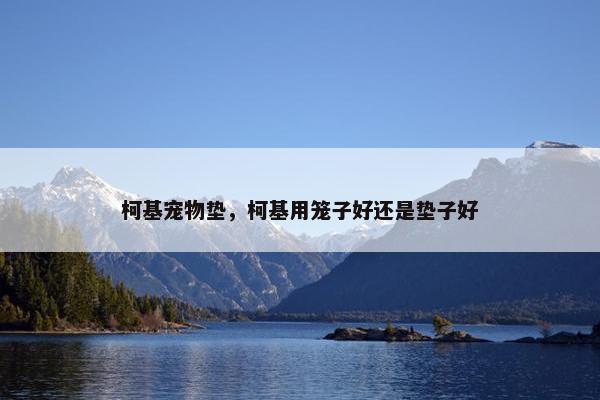 柯基宠物垫，柯基用笼子好还是垫子好
