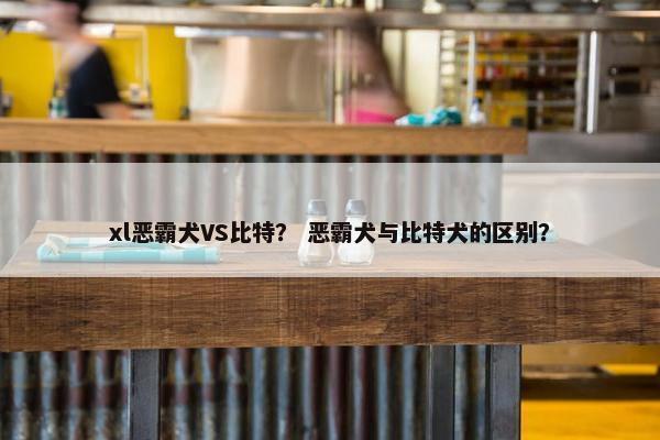xl恶霸犬VS比特？ 恶霸犬与比特犬的区别？