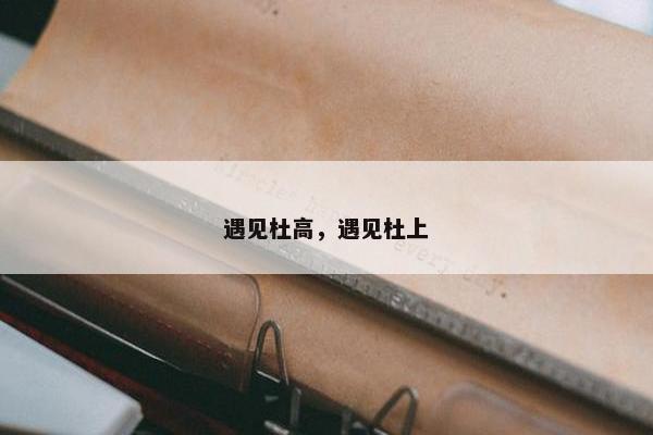 遇见杜高，遇见杜上