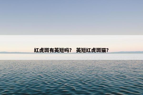 红虎斑有英短吗？ 英短红虎斑猫？