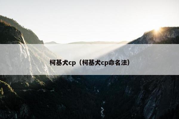 柯基犬cp（柯基犬cp命名法）