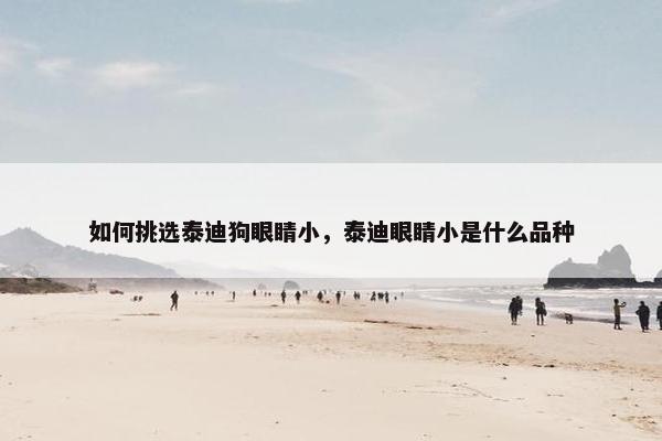 如何挑选泰迪狗眼睛小，泰迪眼睛小是什么品种