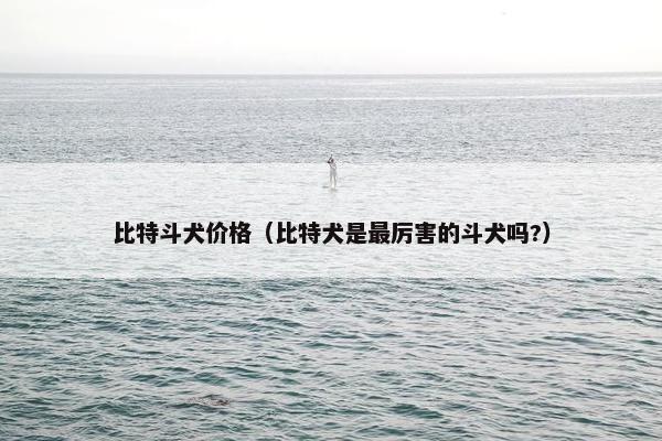 比特斗犬价格（比特犬是最厉害的斗犬吗?）