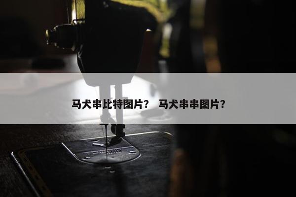 马犬串比特图片？ 马犬串串图片？