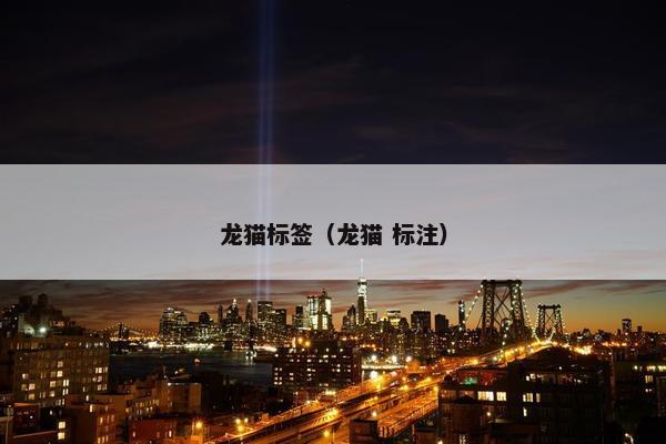 龙猫标签（龙猫 标注）