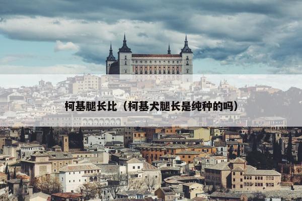柯基腿长比（柯基犬腿长是纯种的吗）