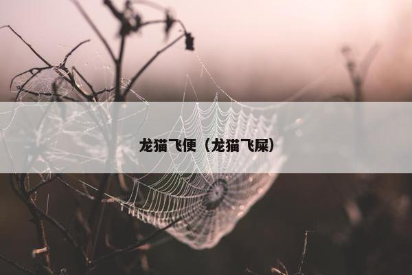 龙猫飞便（龙猫飞屎）