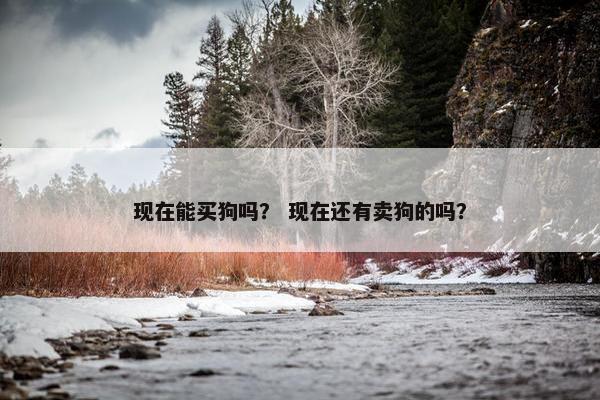 现在能买狗吗？ 现在还有卖狗的吗？